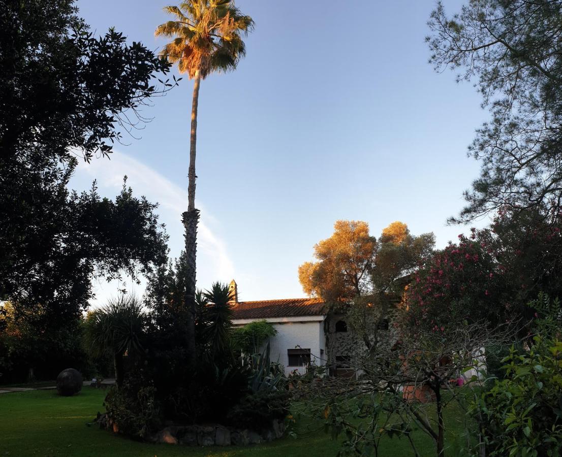 مبيت وإفطار ألخاراكي La Casa Del Torreon المظهر الخارجي الصورة